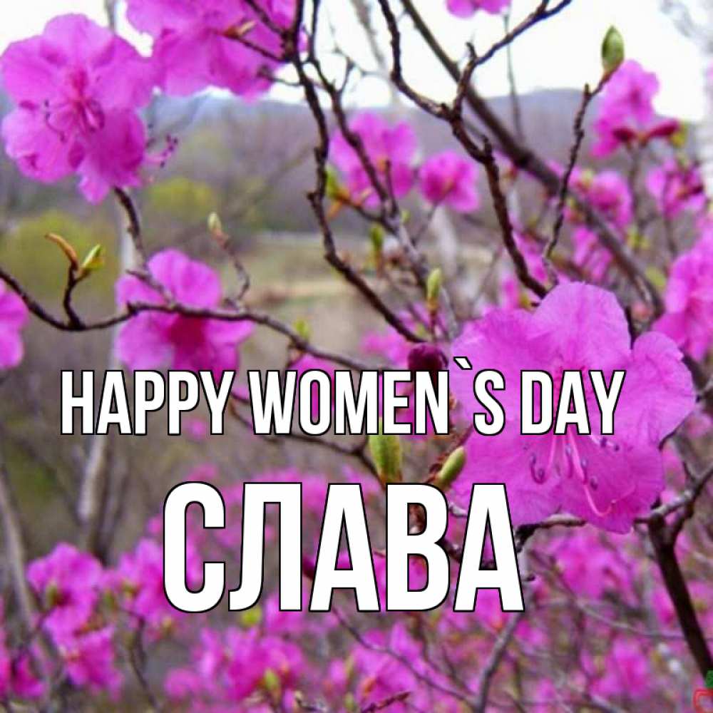 Greetings card с именем, Слава happy women`s day международный женский день Greetings with text for free download 
